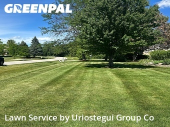 Lawn Mow nearby Wadsworth, IL, 