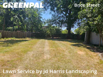 Grass Cut nearby Greensboro, NC, 