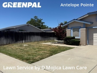 Yard Cutting nearby Antelope, CA, 