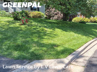Lawn Mowing Service nearby Fairfax , VA, 