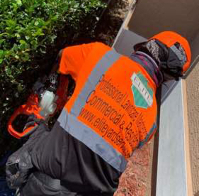 Local Lawn care service near me in Brandon, FL, 33619