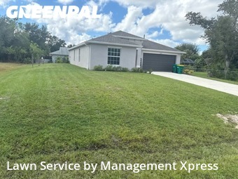 Grass Care in Port Charlotte, 33952, Weed Trimming by Management Xpress , work completed in Nov , 2025