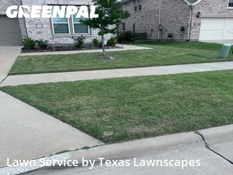 Yard Cutting nearby Frisco, TX, 