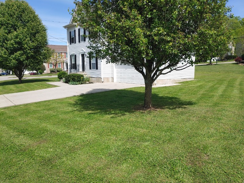 Dj's Lawn Care Lawn Care Services in Nashville, TN