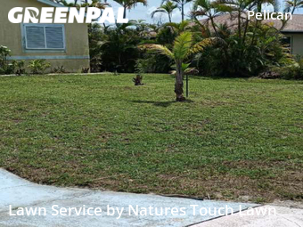 Lawn Cut nearby Cape Coral, FL, 