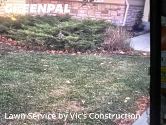 Grass Cut nearby Shorewood, IL, 