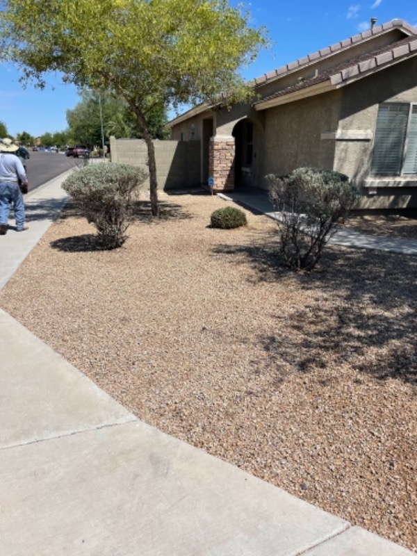 Lawn Care Service in Phoenix, AZ, 85008