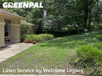 Lawn mowed in Gainesville, 32606