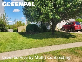 Grass Cutting nearby Lexington, KY, 