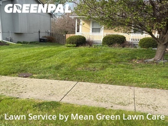 Grass Cut nearby Belton, MO, 