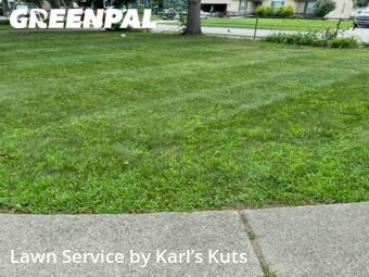 Yard Mowing nearby Livonia, MI, 