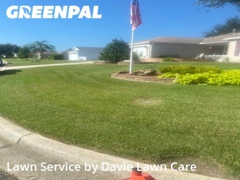 Grass Cut nearby The Villages, FL, 