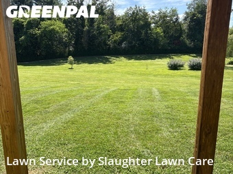 Lawn Mowing nearby Powell, TN, 