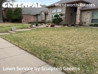 Lawn Mow nearby Plano, TX, 