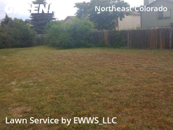 Grass Cut nearby Colorado Springs, CO, 