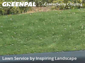 Lawn Mowing Servicein Parker,80138,Grass Cutting by Inspiring Landscape, work completed in Nov , 2025