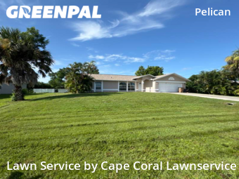Yard Cutting nearby Cape Coral, FL, 