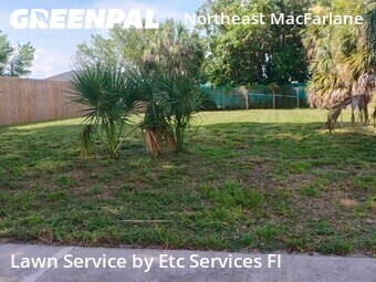 Grass Cutting nearby Tampa, FL, 