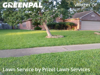 Grass Cuttingin Rosenberg,77471,Grass Cut by Prizel Lawn Services, work completed in Nov , 2025