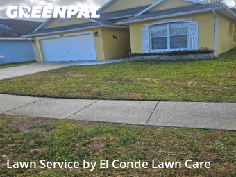 Grass Cut nearby Kissimmee, FL, 