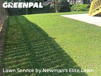 Lawn mowed in Alabaster, 35114