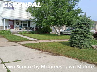 Lawn Cutting in Southgate, 48195, Property Maintenance by Mcintees Lawn Mainte, work completed in Nov , 2025