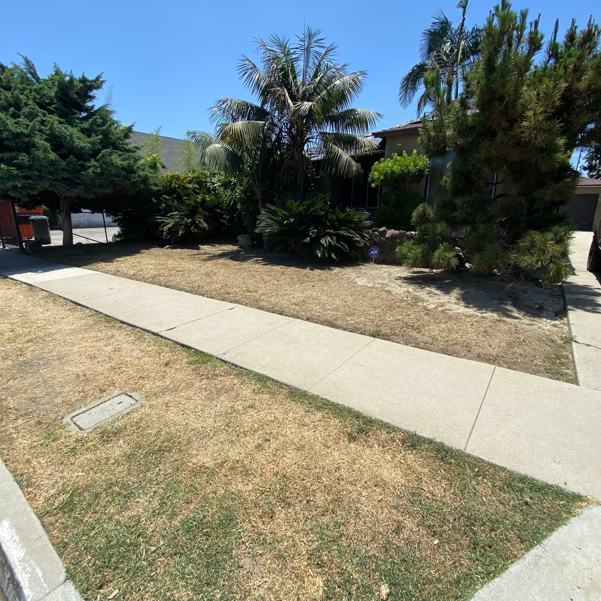 Lawn mowing work by Tierra Verde Lands in Palmdale, CA