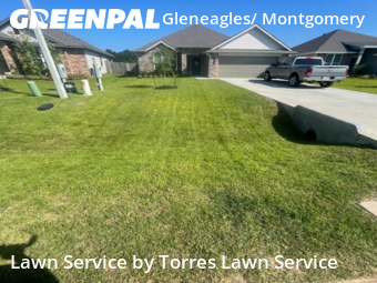 Lawn Care Service nearby Conroe, TX, 