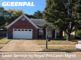 Grass Cutting in Olive Branch, 38654, Lawn Management by Royal Pro Lawn Mgmt, work completed in Dec , 2025