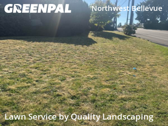 Lawn Management in Bellevue, 98004, Yard Cutting by Quality Landscaping, work completed in Nov , 2025