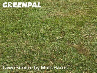 Lawn Care Service nearby Margate, FL, 