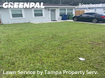 Grass Cut nearby Tampa, FL, 
