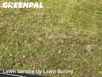 Lawn Service nearby Apple Valley, MN, 