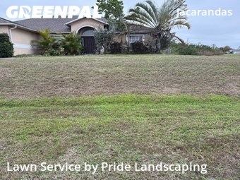 Grass Cut nearby Cape Coral, FL, 