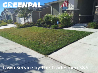 Lawn Mow nearby Antioch, CA, 