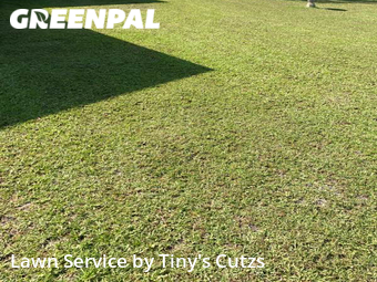 Grass Cutting nearby Valdosta, GA, 