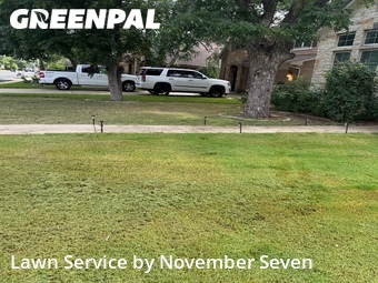 Yard Cutting nearby Austin, TX, 