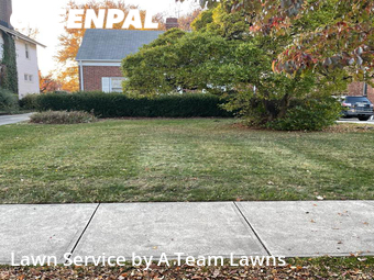 Grass Cut nearby Euclid, OH, 