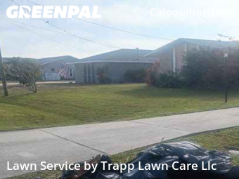 Lawn mowed in Cape Coral, 33904
