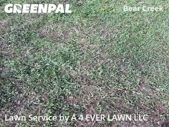 Lawn Cutting nearby New Port Richey, FL, 