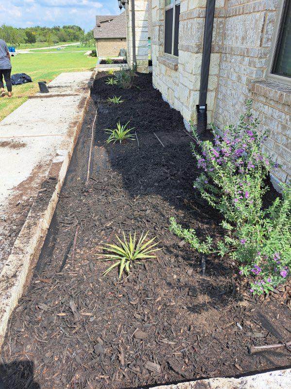 Lawn Care Service in Farmers Branch, TX, 75234