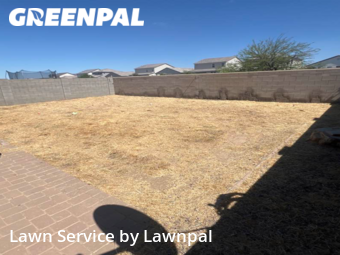 Yard Grooming in San Tan Valley, 85143, Lawn Upkeep by Lawnpal, work completed in Nov , 2025