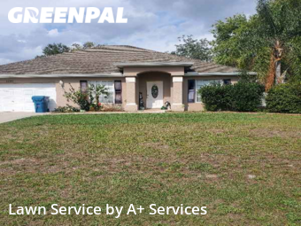 Lawn Cutting nearby Spring Hill, FL, 
