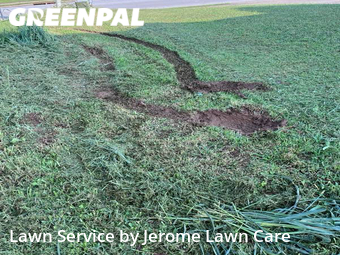 Lawn Service nearby Clarksville, TN, 
