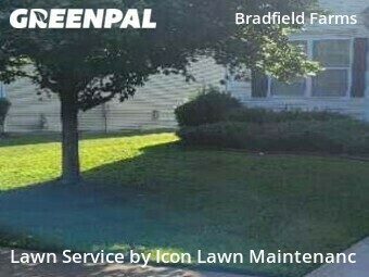 Yard Cutting nearby Charlotte, NC, 