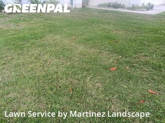 Lawn Mowing nearby Apopka, FL, 