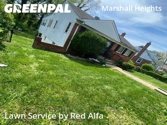 Lawn Cut nearby District Heights, MD, 
