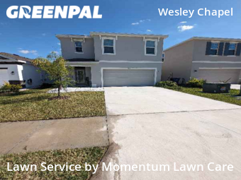 Grass Cutting nearby Wesley Chapel, FL, 