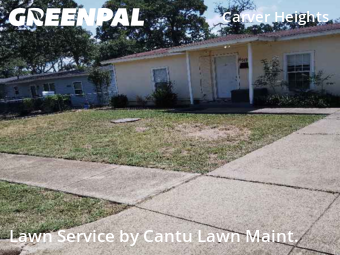 Grass Cut nearby Fort Worth, TX, 