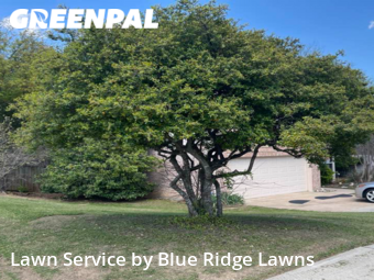 Lawn Cut nearby Mc Kinney, TX, 